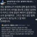 인터넷 배우기(초급반) | #1. 20대 직장인 취미발레 시작하기