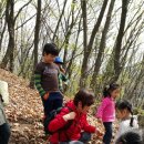 지혜숲유치원 이미지