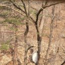 나무카페 이미지