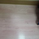 청송유치원 이미지