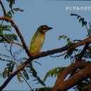 강서골드공인중개사사무소 이미지