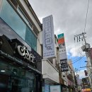 파충류카페 비비안 이미지