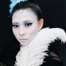 크리스챤쇼보뷰티미용학원 이미지