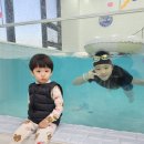 버블리 풀