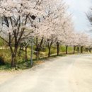 서울숲4 이미지