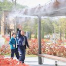 온새미로 이미지