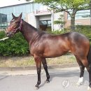 양일목장 이미지