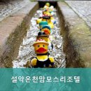 설악온천맘모스리조텔 이미지