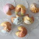 티월드 행운대리점 | 오늘 나의 운세는?? 포춘쿠키원데이클래스/50531