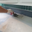 악쓰는 하마 이미지