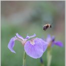 달맞이 펜션 이미지