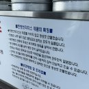 찐빵브라더스 이미지