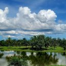 그린힐 골프연습장 이미지