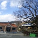 신촌경로당 앞 이미지