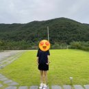 양양그곳에머물다 이미지