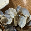 인하칼국수 | [인천] 단돈 8천 원대에 보리밥 무제한?! 미친 가성비 '인하칼국수' 솔직 후기