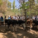 성우축산 이미지