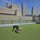 보라눈나 이미지