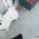 새콤이달콤이