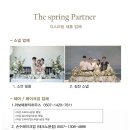 장전로6번길(3-359) | [돌잔치#3] 청주 돌잔치 헤어&amp;메이크업 | 단아메이크업 계약 후기