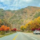 자올보듬 이미지