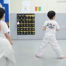 송원 태권도 이미지