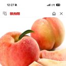 청년상점 이미지