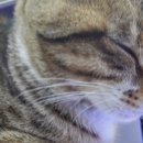 CU 화곡행복 이미지