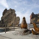 바가지 논란 울릉도 여객선까지 끊겨, “이러다 다 죽겠다” 이미지