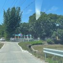 울타리2호점 | [충남 예산] 피플앤독 느티캠핑장🏕️: 울타리있는 애견캠핑장(중소형견 전용/ 중콩 6번 사이트 후기)