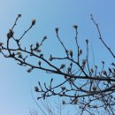 우리농원 이미지