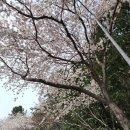 이가짬뽕 이미지