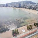 호텔 마린뷰 | 부산 가족여행 부산 마린뷰 호텔 후기