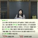 토라 이미지