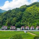 남산면 백양2리 경로당 | 강원도 춘천시 춘천 남이섬 애견 가족 전원마을 펜션, 가는법, 후기, 위치