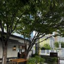 광주옥 | 광주옥 평양냉면 후기