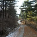 축령산휴양림입구 이미지