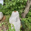 선원면-9 이미지