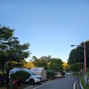 증산수도계곡캠핑장 이미지