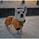 굿데이호텔 이미지