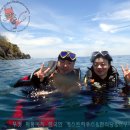 섬 게스트하우스 이미지