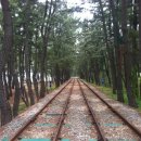 그라시아펜션 이미지