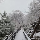 정릉50 이미지