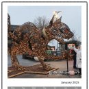 스마트 포토에세이 이미지