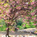 성산패총로 이미지