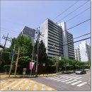 제일성광유치원 이미지