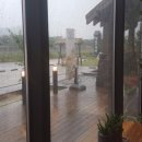 엘리스커피앤게스트하우스