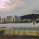 대구중앙고등학교 이미지