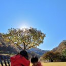 지호농원 이미지