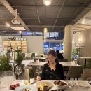 신사동-21 | 부드러운 신사동 맛집 ❤️ 신사역 가로수길 놀거리 맛집 띠엘로